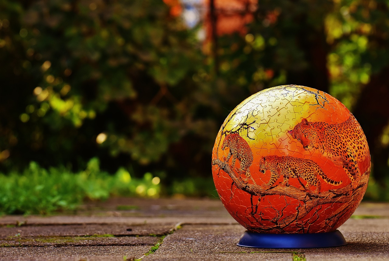 Image - puzzle ball leopard wild animals