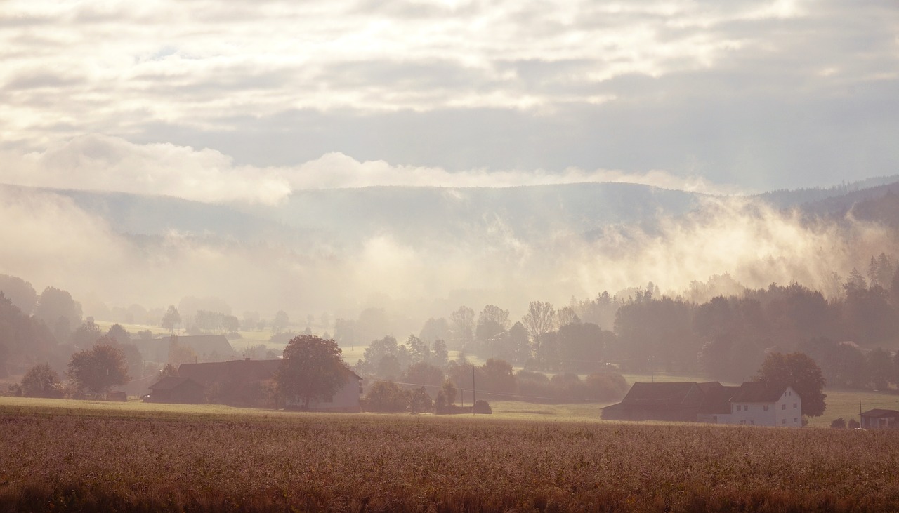 Image - fog morning mountains field