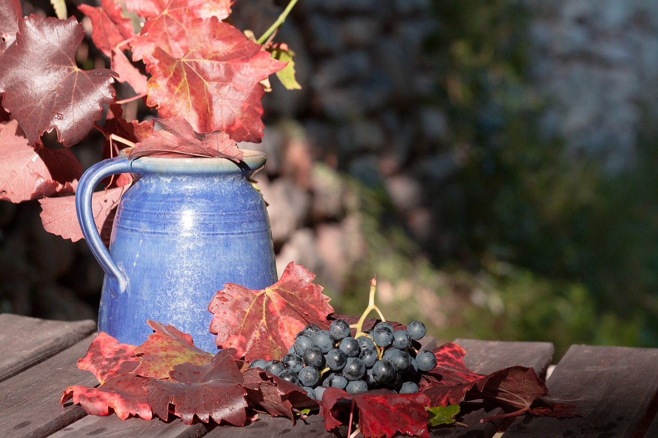 Image - wine grape leaf wine harvest plant