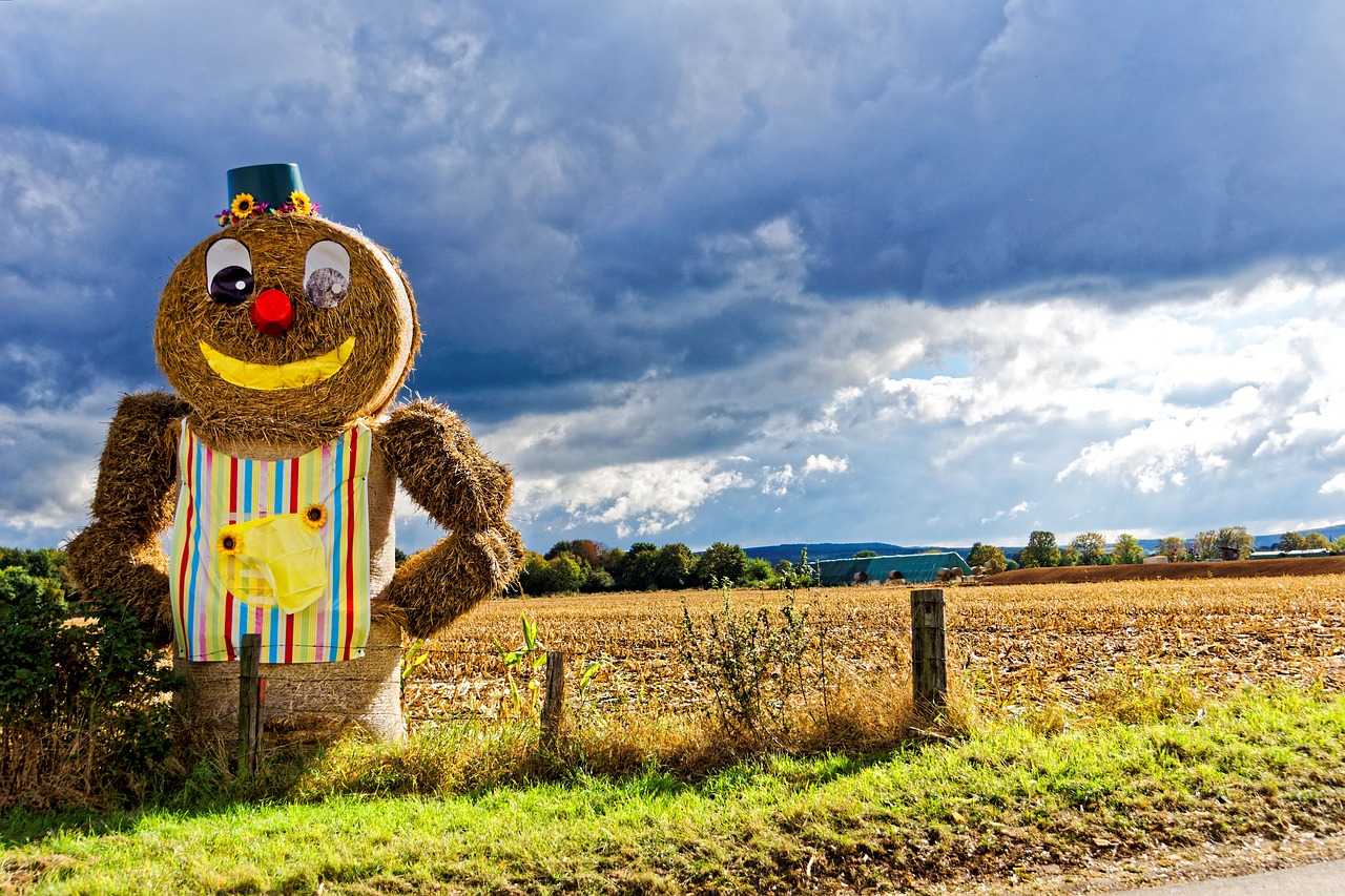 Image - straw bales sky landscape smiley