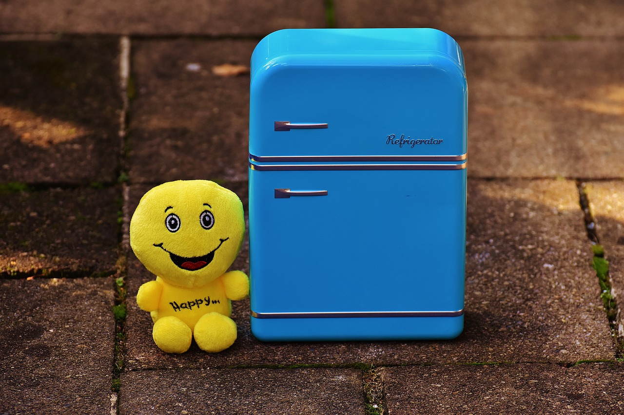 Image - full fridge happy smiley funny