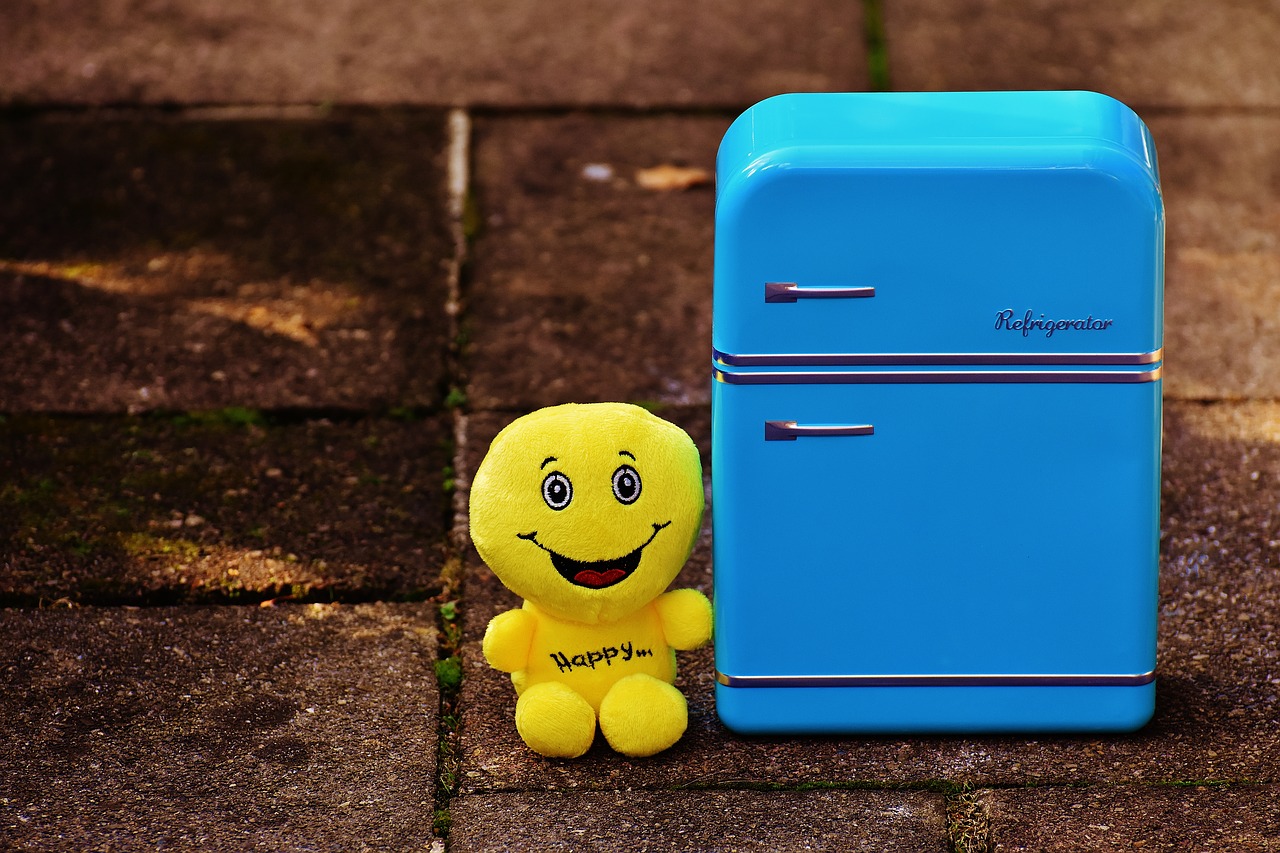 Image - full fridge happy smiley funny