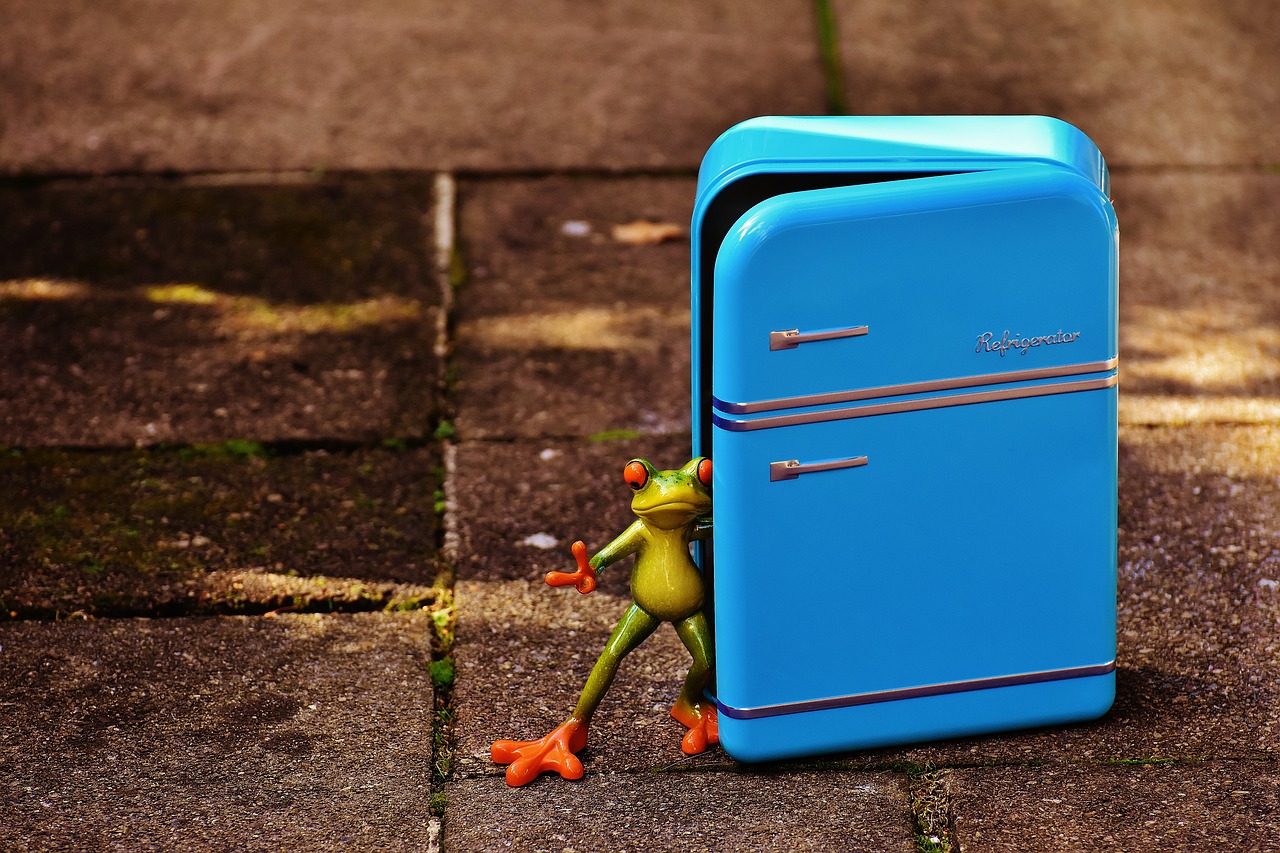 Image - frog refrigerator blue figure