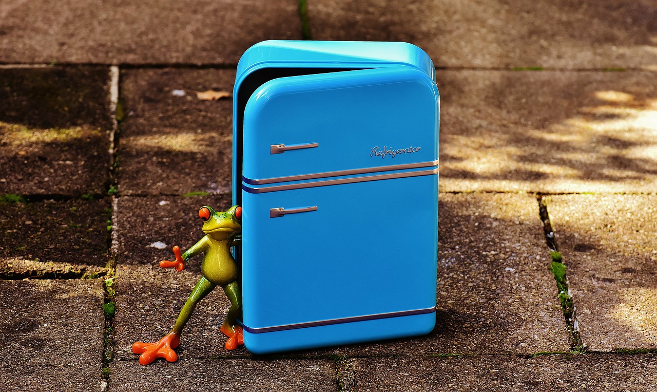 Image - frog refrigerator blue figure