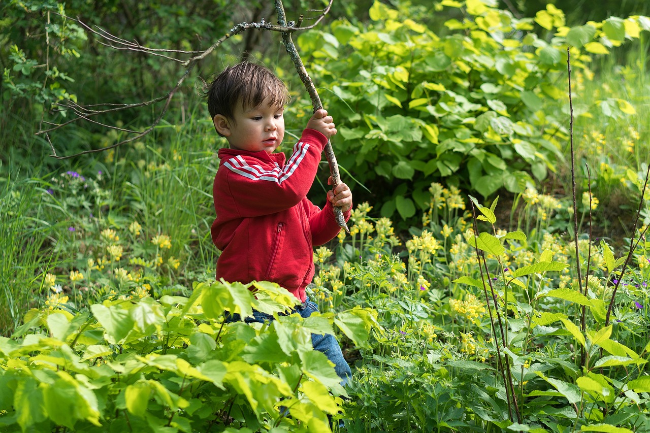 Image - boy forest nature child childhood