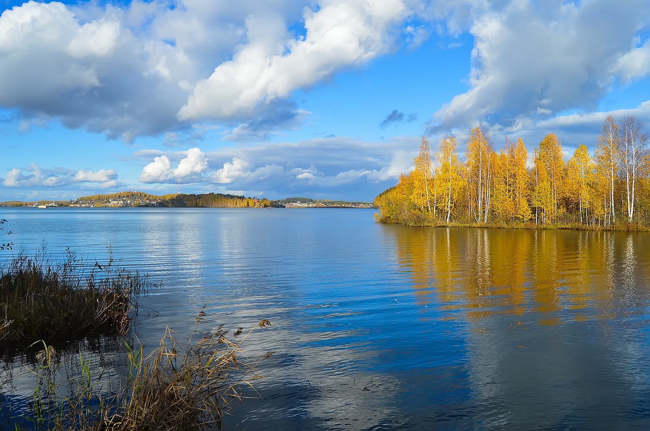 Image - autumn pond river water forest