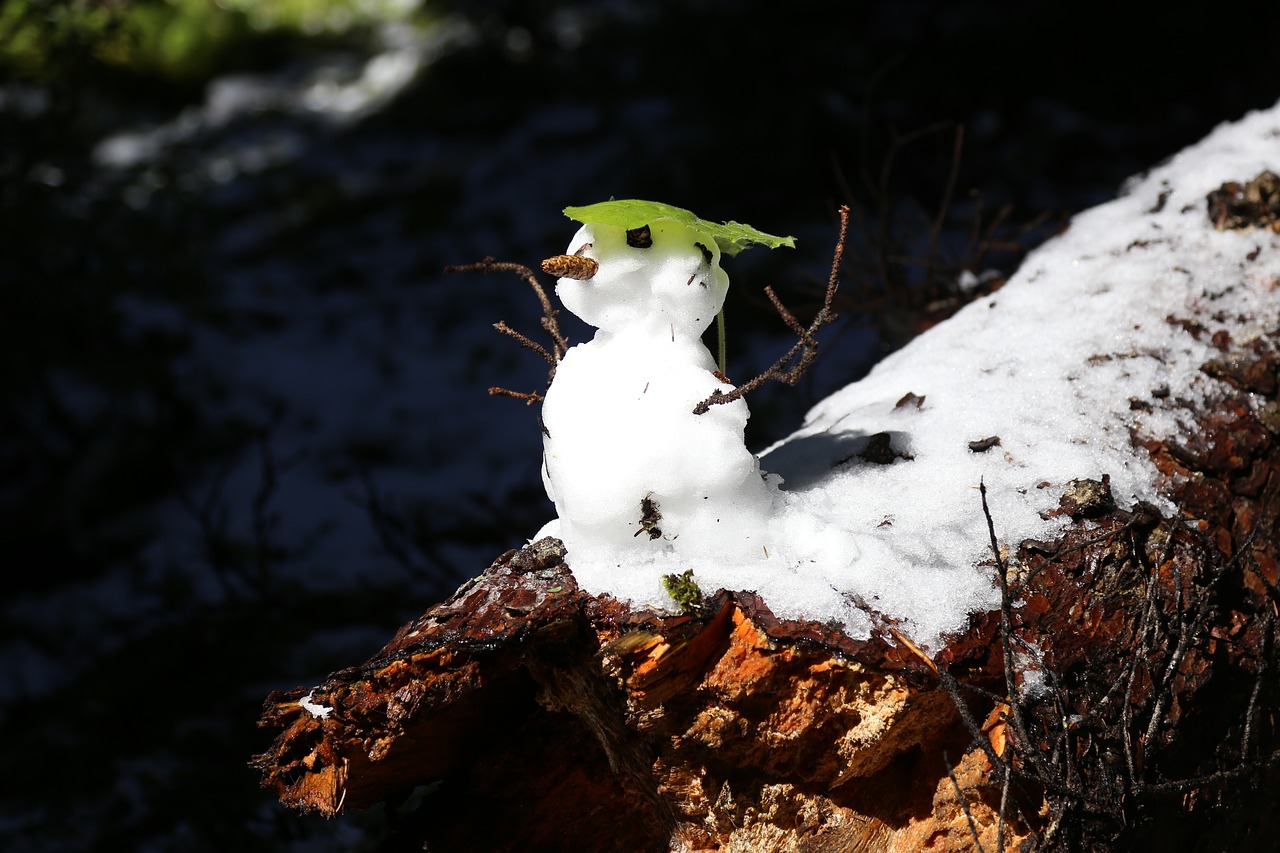 Image - snow man sneeuwpop cute winter