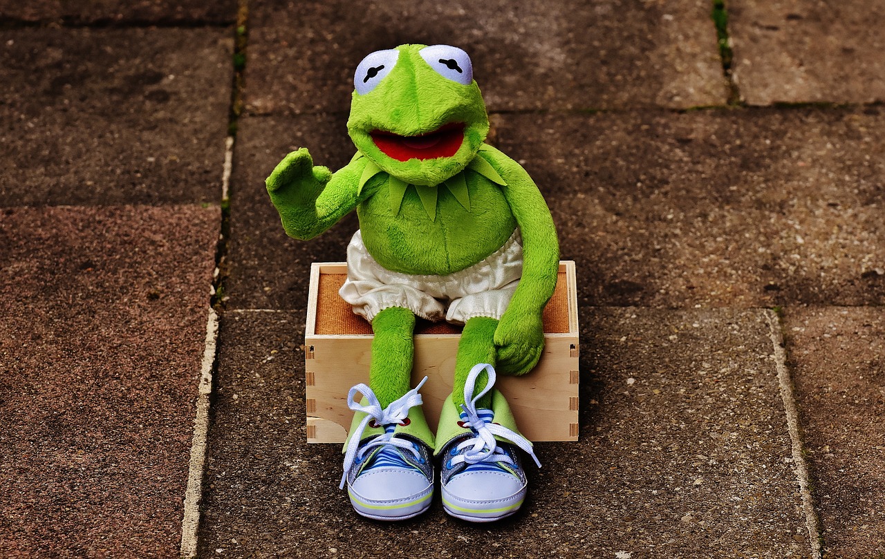 Image - kermit sit bank sneakers pants