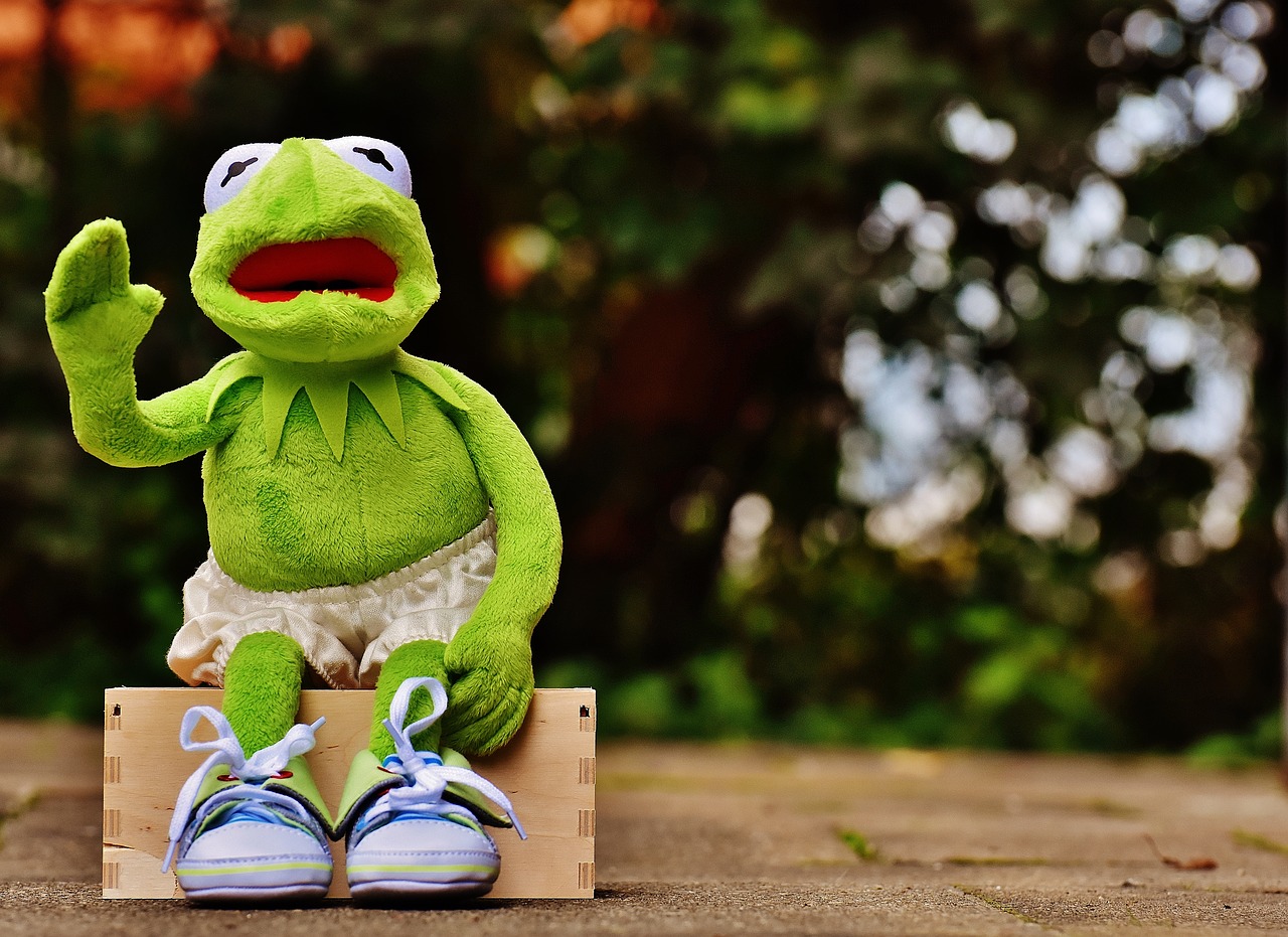 Image - kermit sit bank sneakers pants