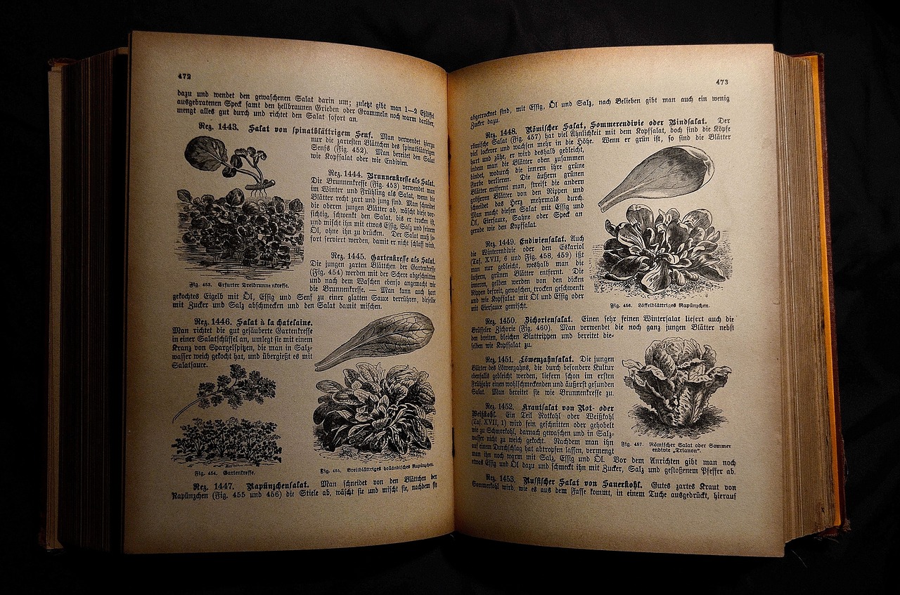 Image - antiquariat old cookbook cookbook