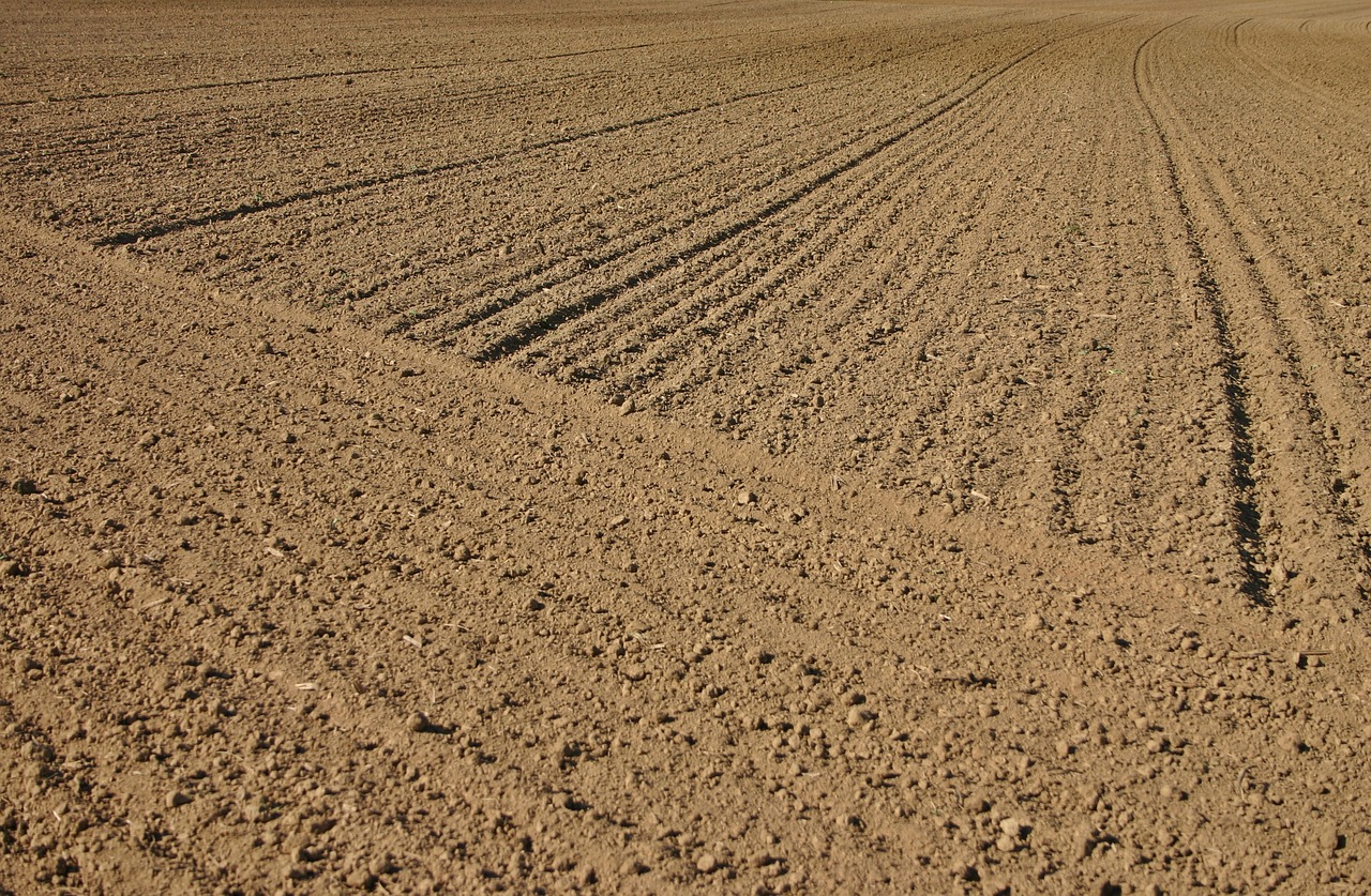 Image - arable ackerfurchen furrow