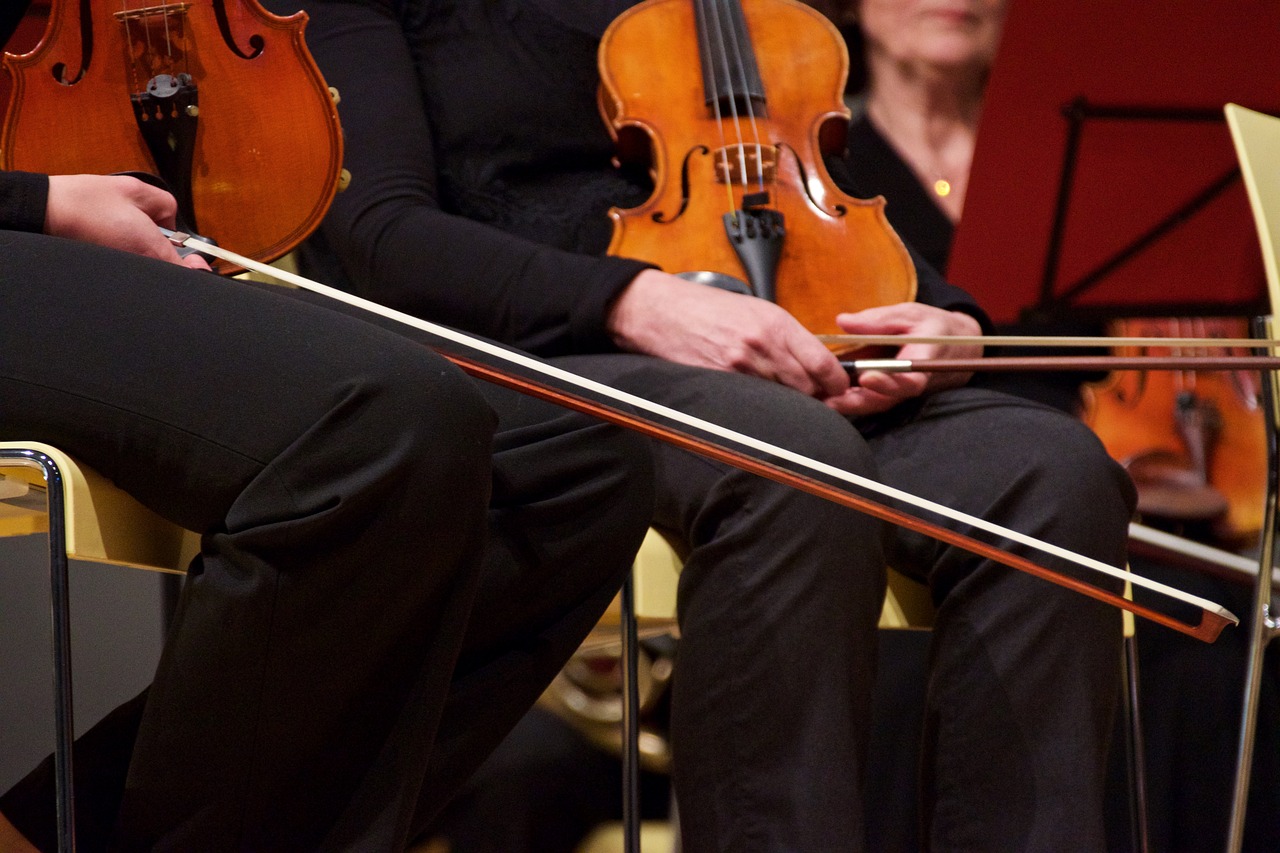 Image - violin string close up