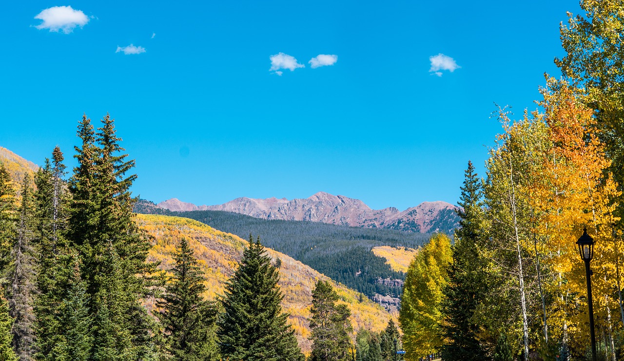 Image - vail colorado nature usa travel