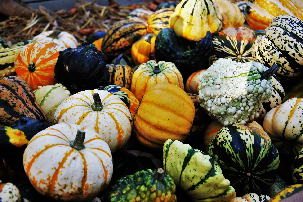 Image - thanksgiving decorative squashes