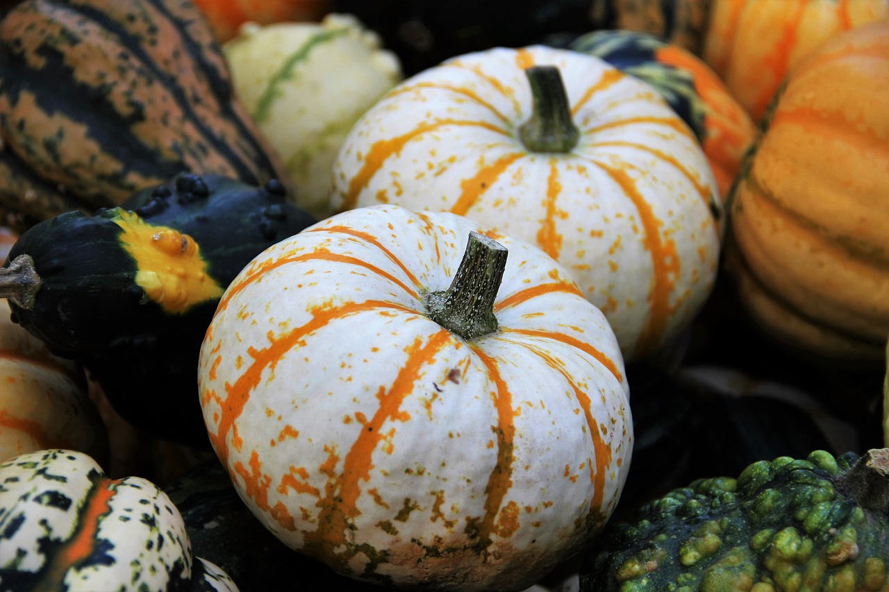 Image - thanksgiving decorative squashes