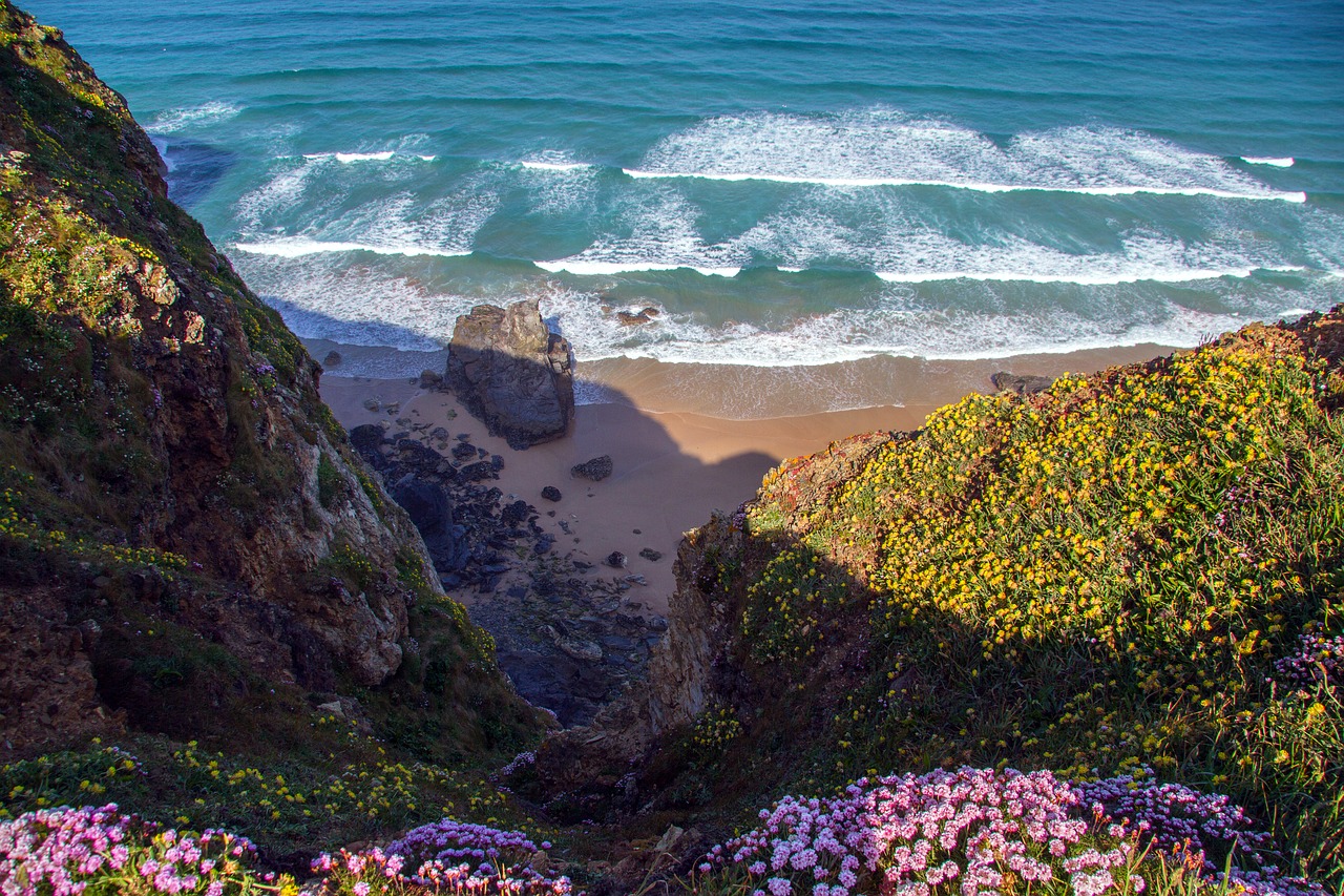 Image - cornwall south gland atlantic