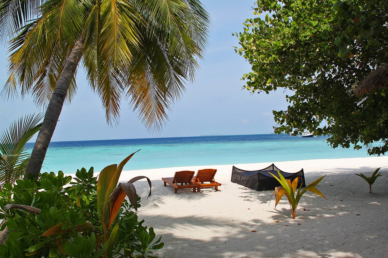 Image - chair relax rest tree happy beach