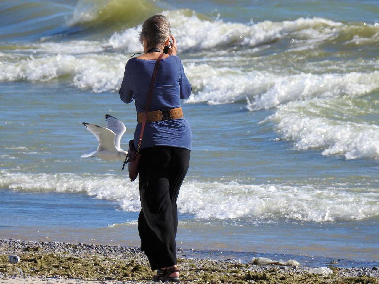 Image - photographer waves seagull vacation