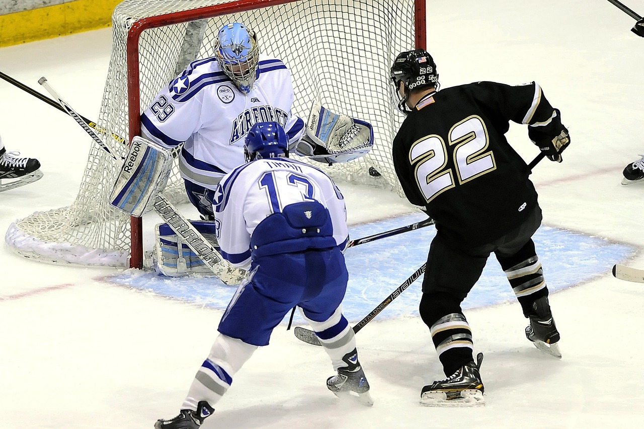 Image - ice hockey players forward contact