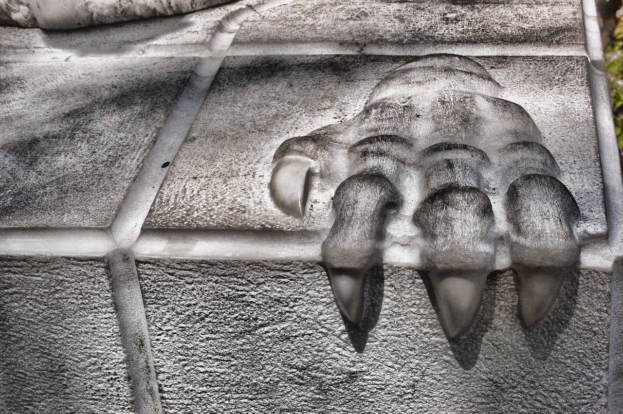 Image - paw stone relief monochrome