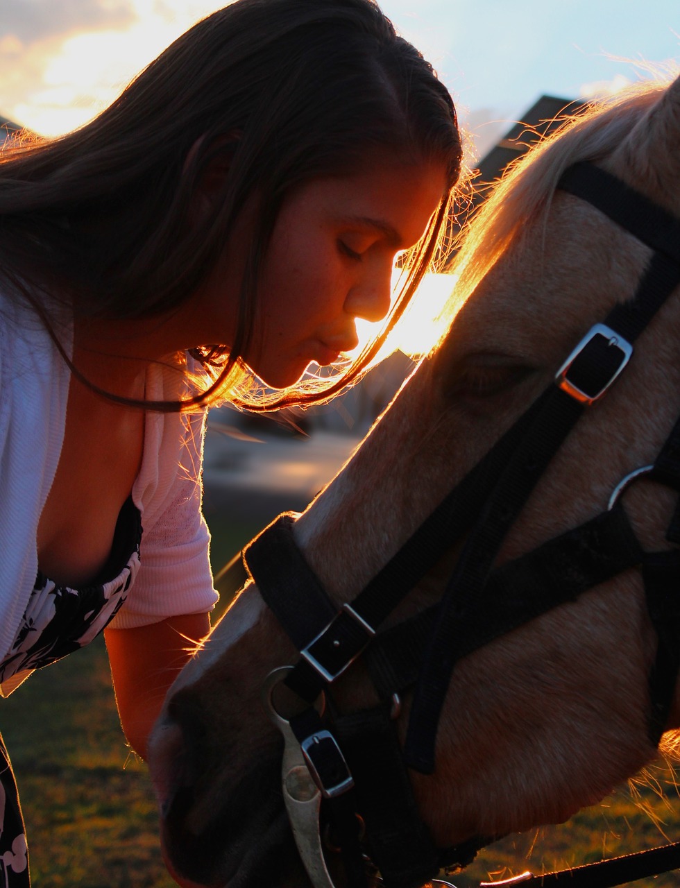 Image - kissing horse girl love son