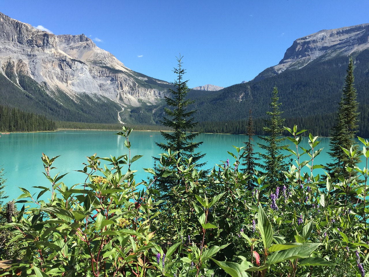 Image - emerald lake canada travel water