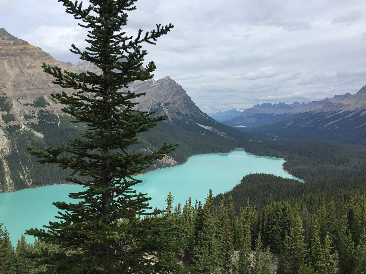 Image - peyto lake canada la lake alberta