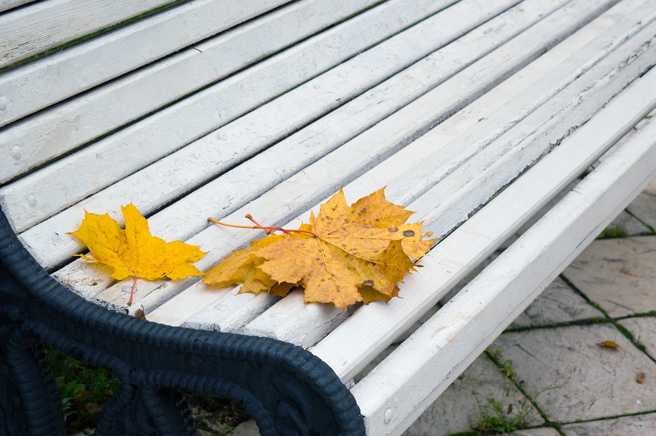 Image - autumn leaves park bench date