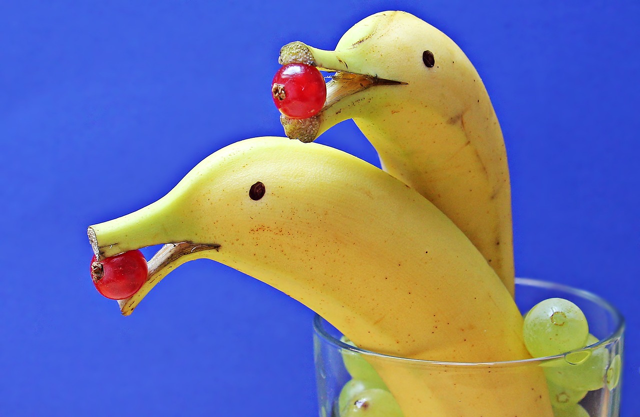 Image - delfin bananas banana dolphin