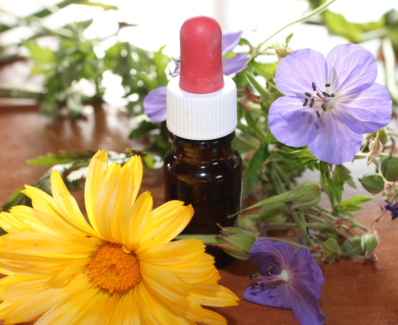 Image - natural medicine flower essences