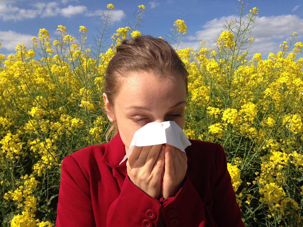 Image - allergy medical allergic allergen