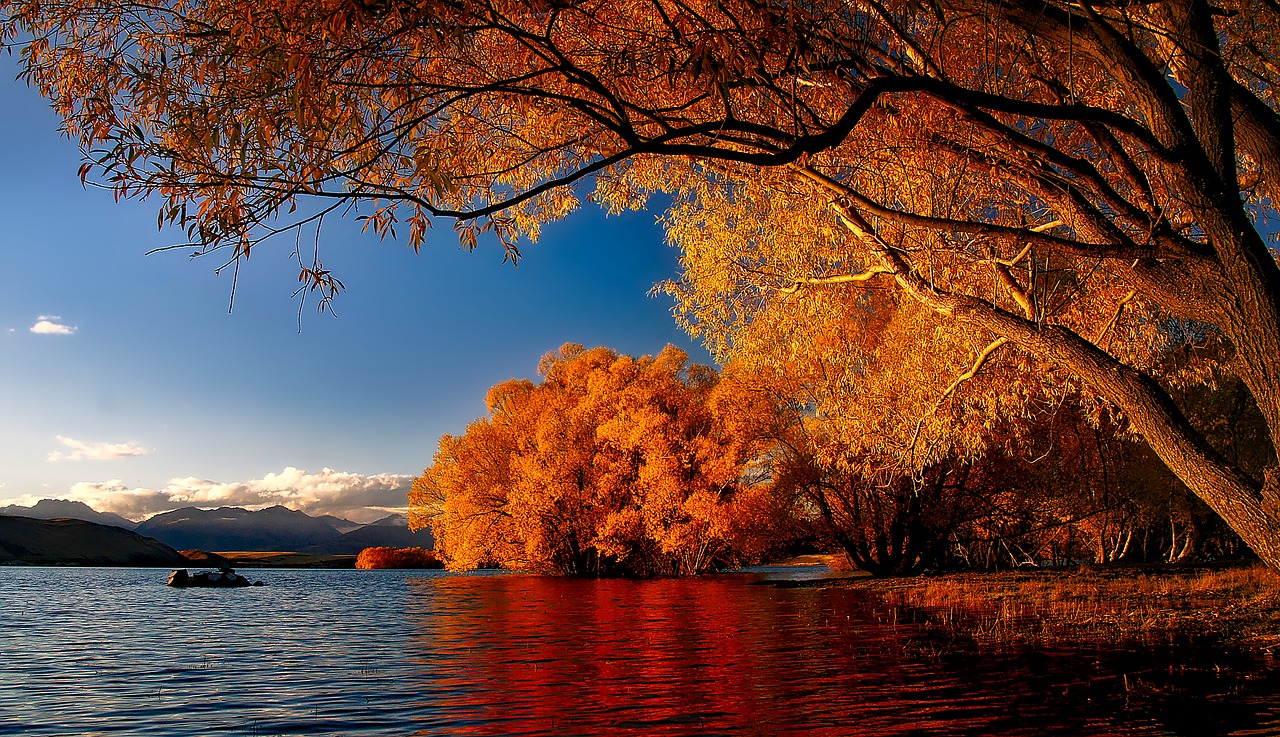 Image - new zealand lake tekapo reflections