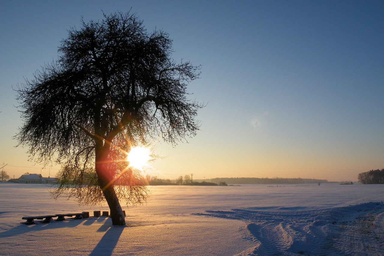 Image - sunrise winter impressions wintry