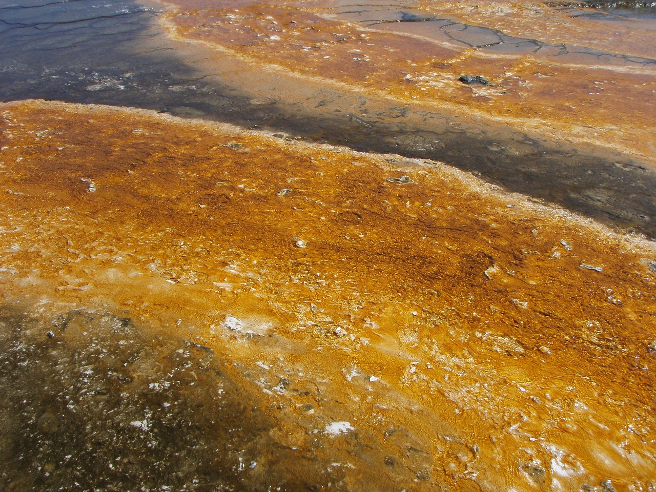 Image - yellow yellowstone park national