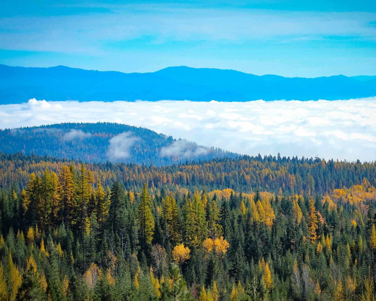 Image - northeast washington fall