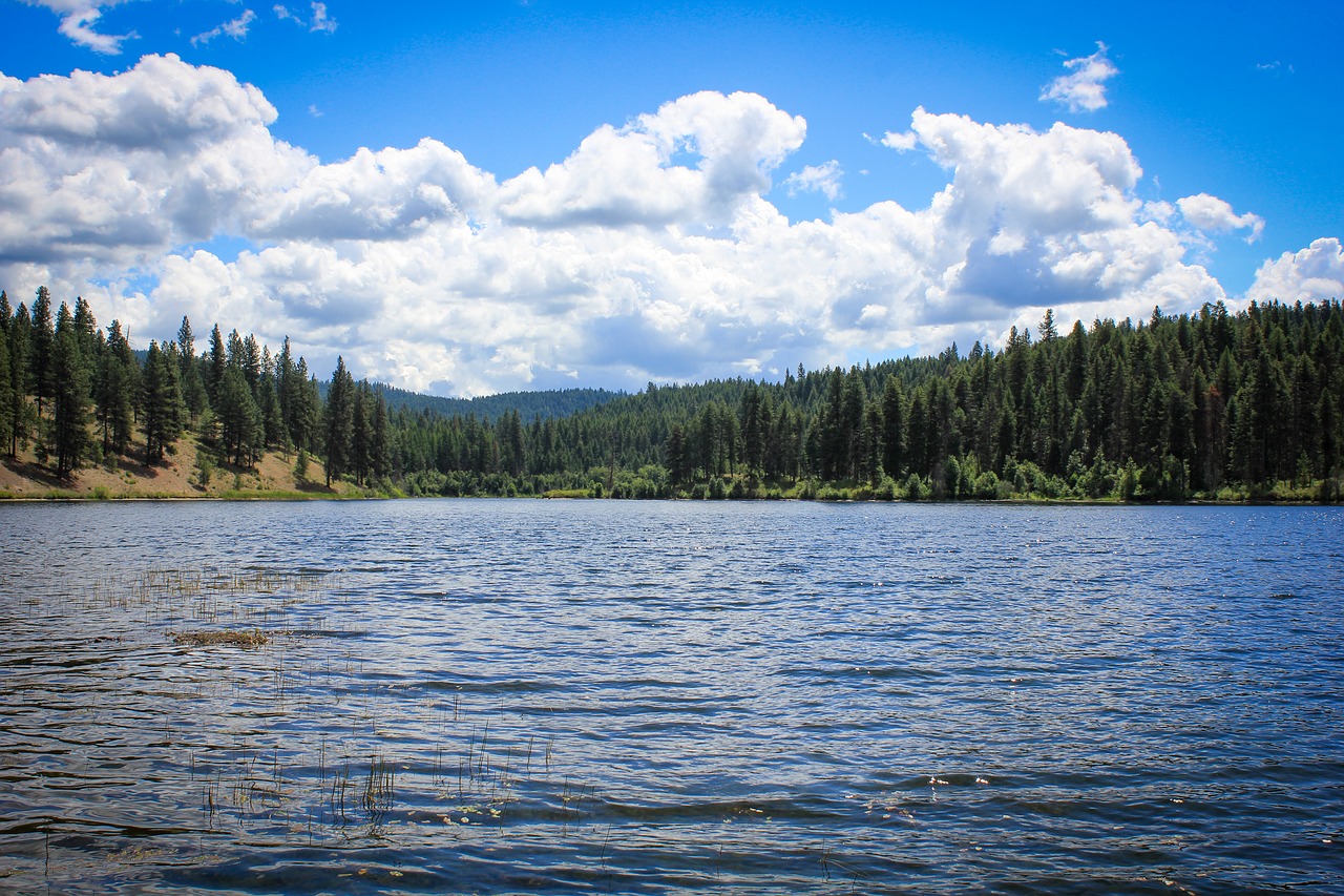 Image - lake view pine trees clouds nature