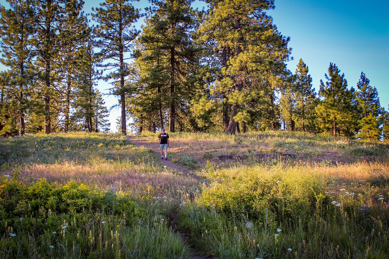 Image - hiking quartzite mountain chewelah