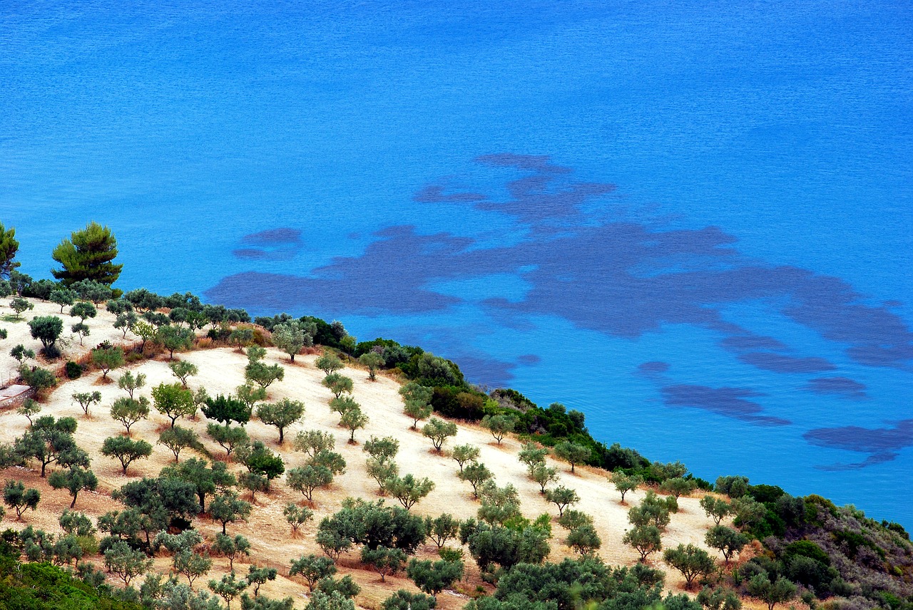 Image - beach sea tree holidays summer