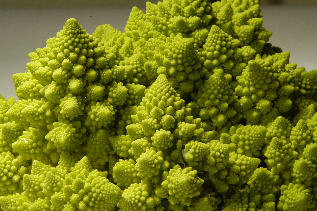 Image - romanesco broccoli green