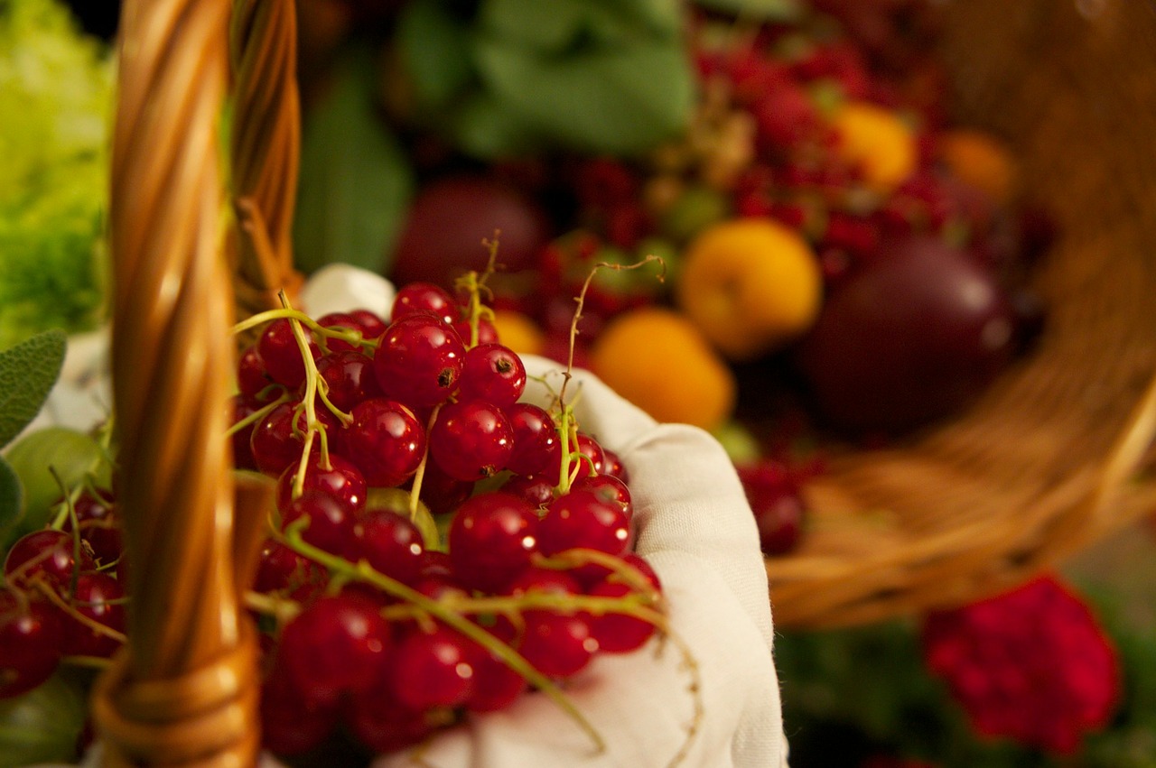 Image - red currant berry red vintage