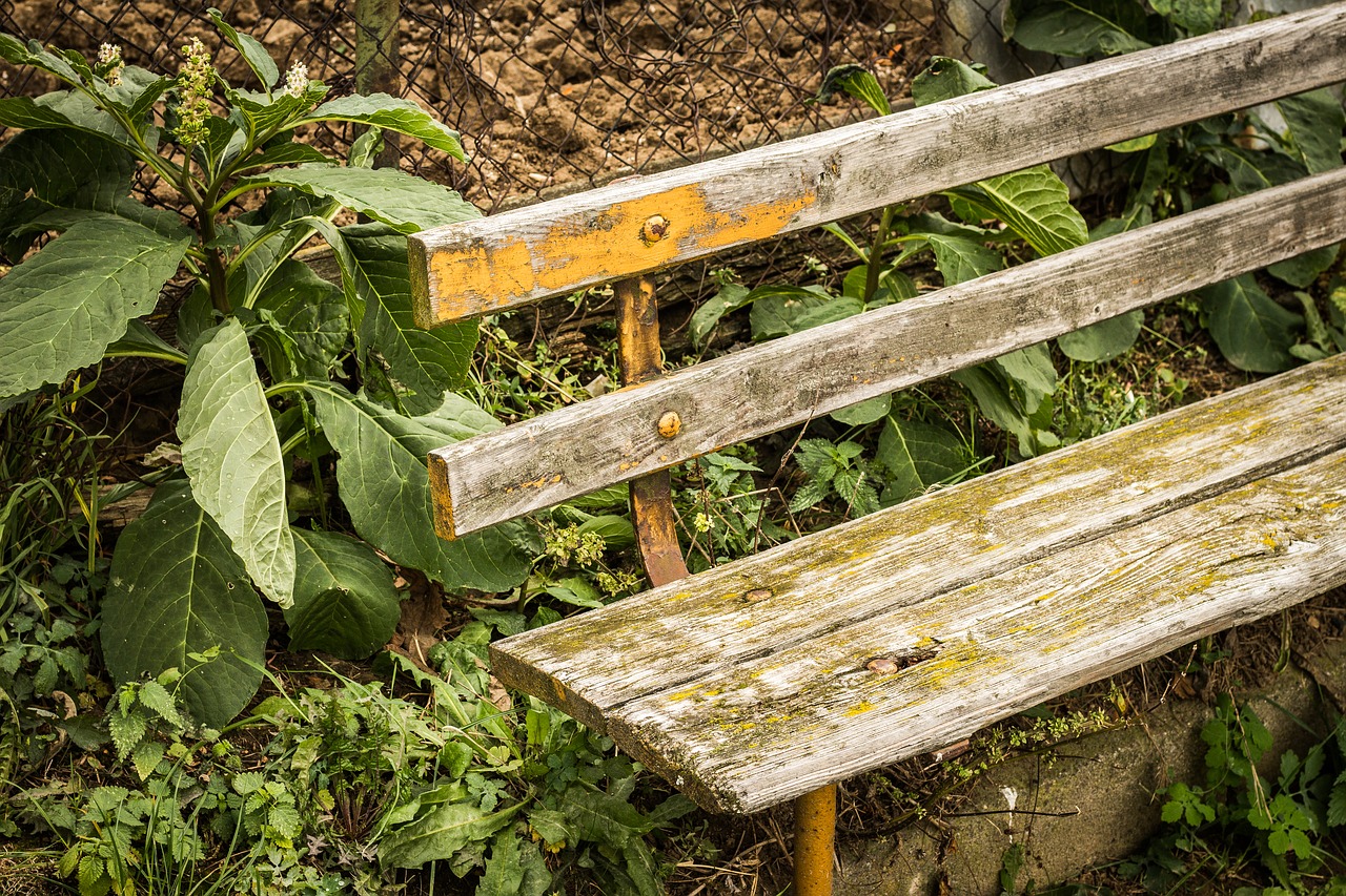 Image - bench sit travel path long way