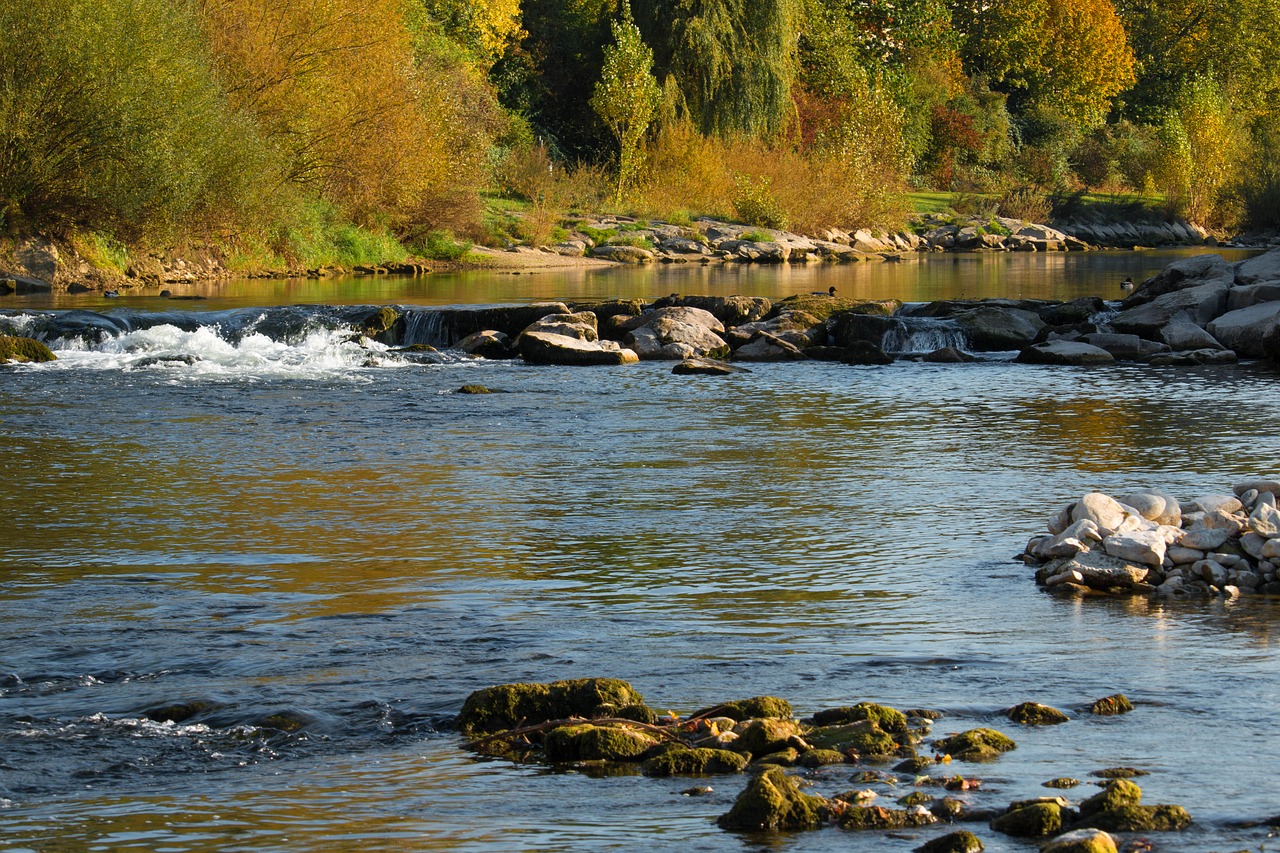 Image - river autumn birs water nature