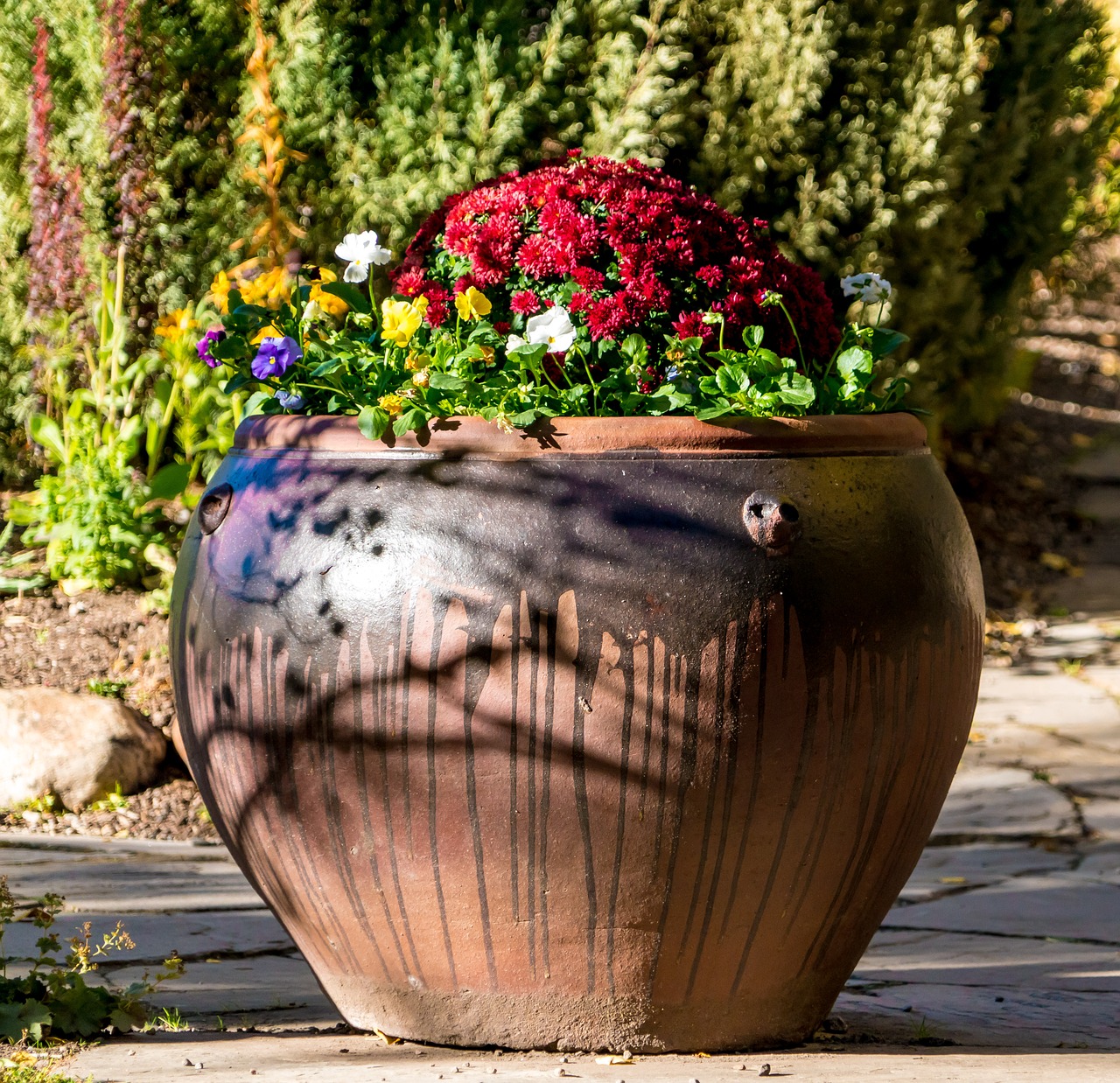 Image - flowers potted plant floral