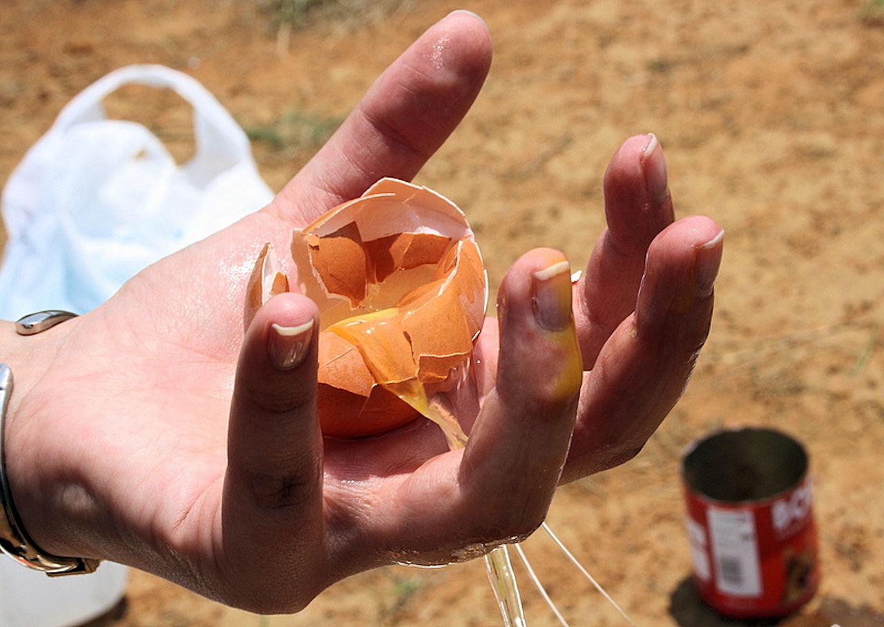 Image - broken egg mess waste healthy food