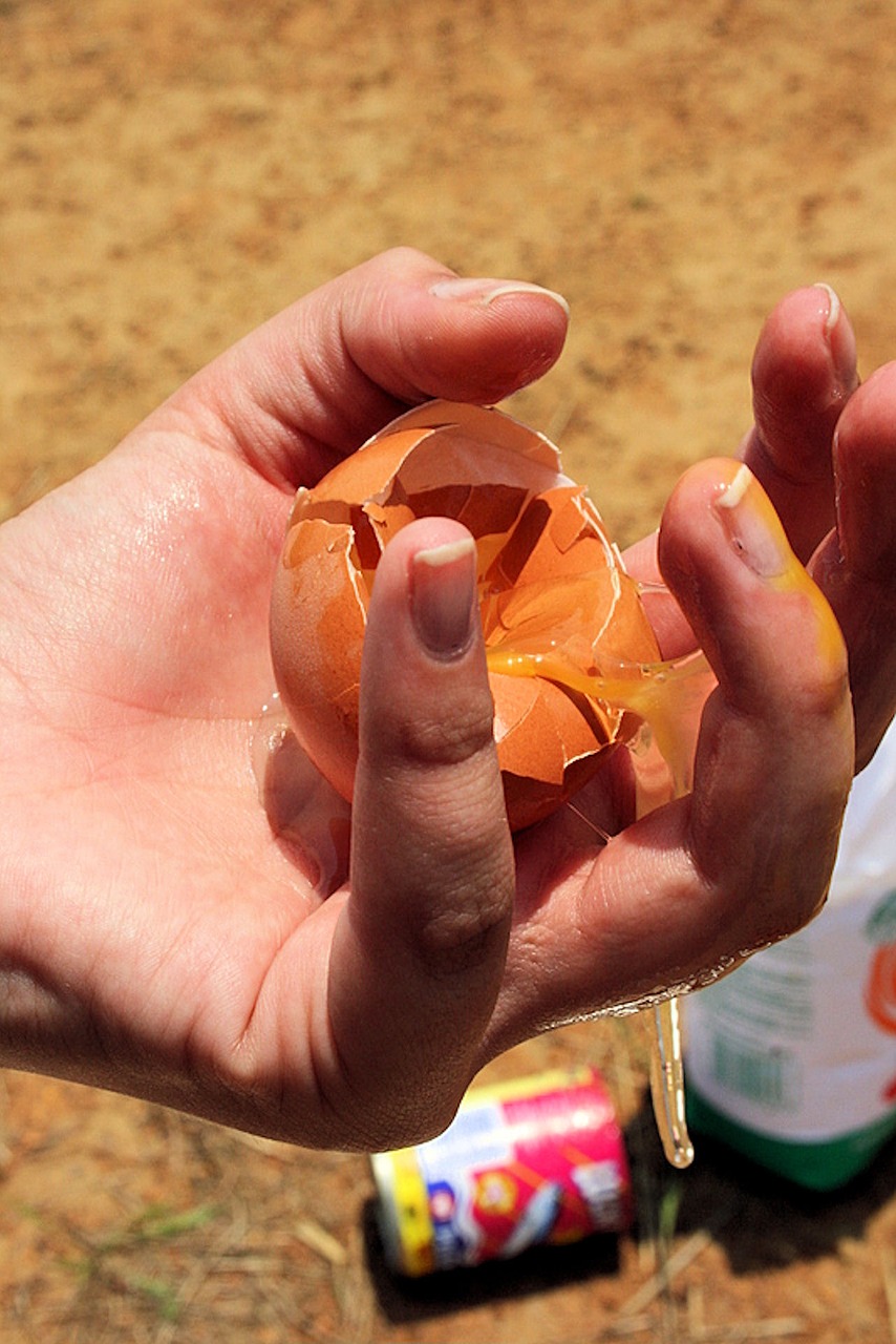 Image - broken egg yellow yolk healthy food