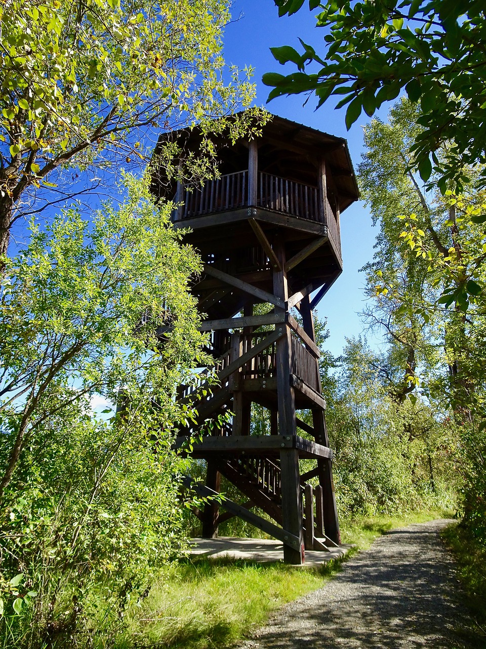 Image - tower watch nature sightseeing