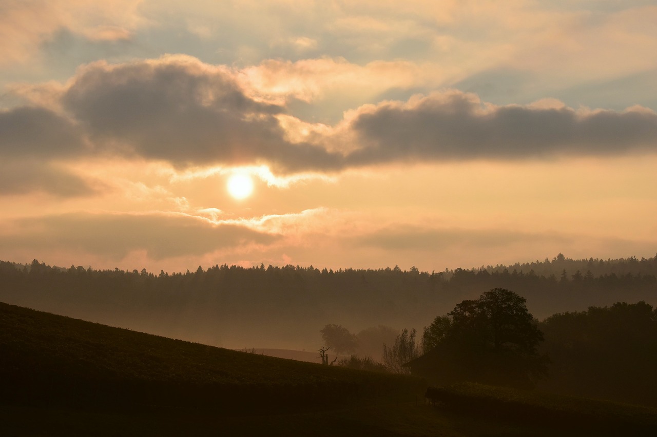 Image - sunrise morgenstimmung fog