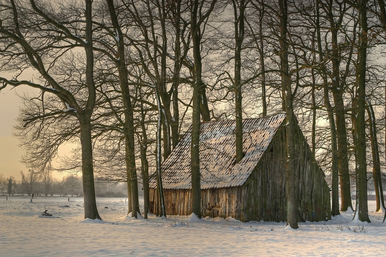 Image - winter barn stall roof scale snow