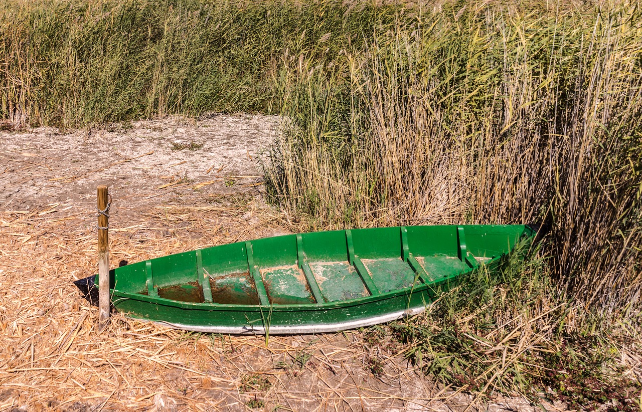 Image - barca green dry nature autumn