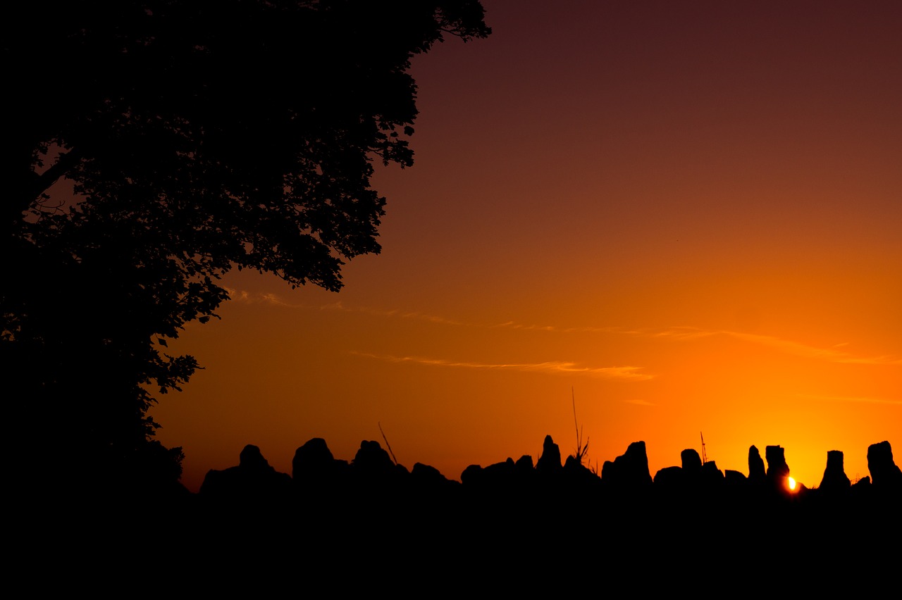 Image - sunset orange shade tree sky